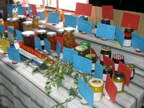 Dalgety Show - Darwin Holiday 1