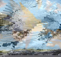 Dreams of Air and Flight