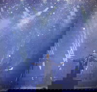 Echoes of Pink Floyd - Darwin Holiday