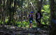 Elephant Trail Race - thumb 0
