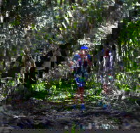 Elephant Trail Race - Darwin Holiday