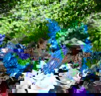 Family Fun Carnivale - Darwin Holiday