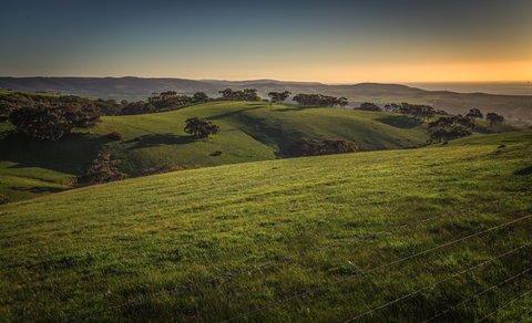 Festival Of Nature - Darwin Holiday 1