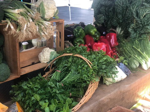 Friday Forage - Darwin Holiday 1