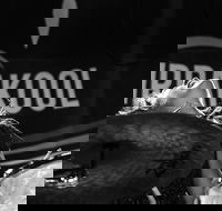 Girrakool Blues Festival and Barbecue - Darwin Holiday