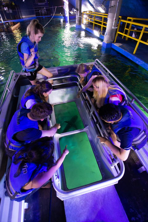 Glass Bottom Boat Tour - Darwin Holiday 1