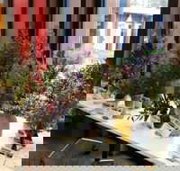 Grampians Wildflower Show - Darwin Holiday