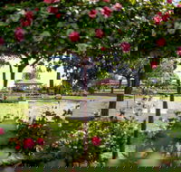 Griffith Spring Fest - Darwin Holiday