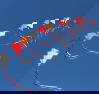 Harden Kite Festival - Darwin Holiday