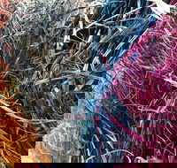 Hidden Core Coiling - Darwin Holiday