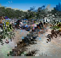 JetBlack Wild Wombat MTB Challenge - Darwin Holiday