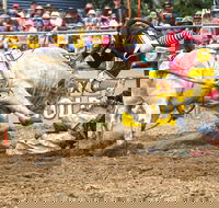 Jindabyne's Man From Snowy River Rodeo - Darwin Holiday