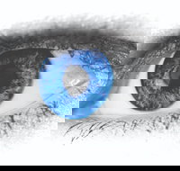 Joe Orton's What the Butler Saw - Darwin Holiday