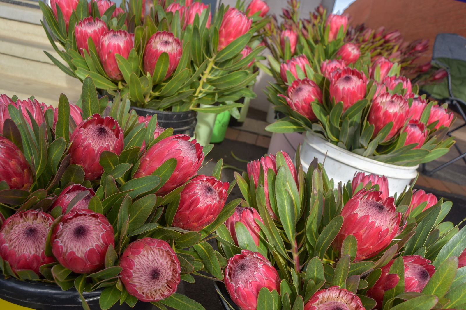 Eurongilly NSW Darwin Holiday