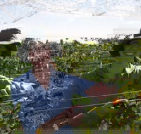 Kingsdale Wines - Cellar Door Wine Tastings - Darwin Holiday