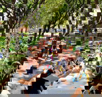 Leeton Sunrice Festival - Darwin Holiday