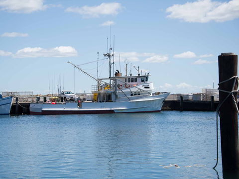 Love Sea Food Port Stephens - Darwin Holiday 1