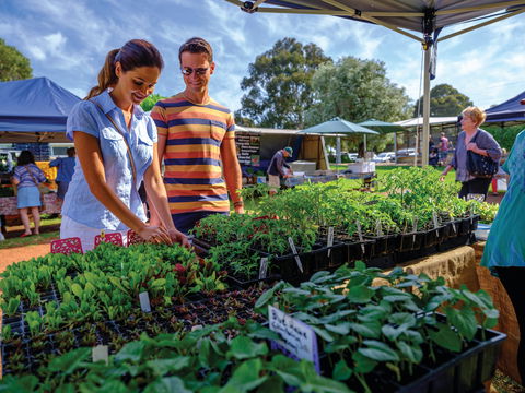Margaret River Farmers Market - Darwin Holiday 1