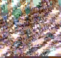 Meeniyan Garlic Festival