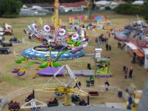 Millicent Agricultural And Horticultural Show - Darwin Holiday 0