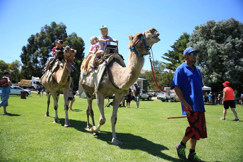 Mt Compass Farmerama - Darwin Holiday 1