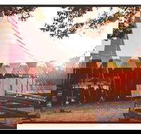 Mullum Circus Festival - Darwin Holiday