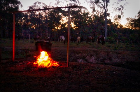 Night Horse Ride And Dinner - Darwin Holiday 2