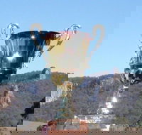 Nimbin Poetry World Cup - Darwin Holiday