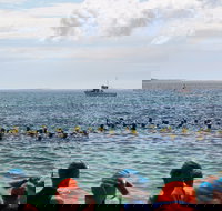 Nowra Toyota triHusky Huskisson Triathlon Festival Little Husky - Darwin Holiday