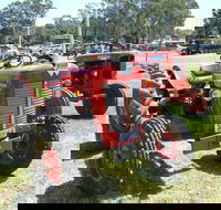 Oil Steam and Kerosene Family Fun Day - Darwin Holiday