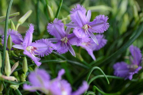 Our Campbelltown - Darwin Holiday 0