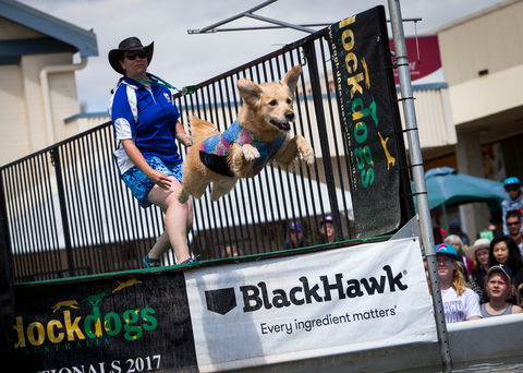 Perth Royal Show - Darwin Holiday 2