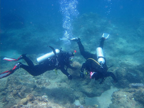 Recovery Of The Great Barrier Reef Expedition - Darwin Holiday 1
