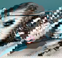 Reuben Kaye Comes Out to Play - Darwin Holiday