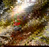 Run Dungog - Darwin Holiday