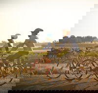 Rutherglen Gourmet Amble - Darwin Holiday