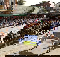 Scone Horse Festival - Darwin Holiday