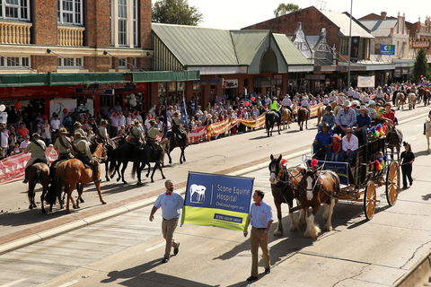 Scone Horse Festival - Darwin Holiday 0