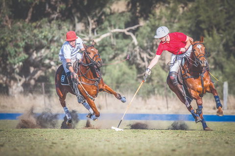 Scone Horse Festival - Darwin Holiday 1