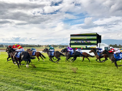 Scone Horse Festival - Darwin Holiday 2