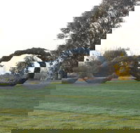 SculptureShaw - Darwin Holiday