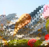 Sevenhill Producers Market - Darwin Holiday