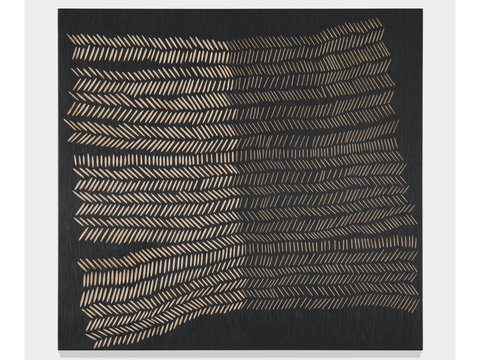 Small And Humble - Darwin Holiday 1