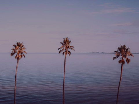 Sunset Streaming Live DJ Streams - Darwin Holiday 0