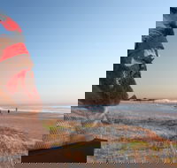 SWELL Sculpture Festival - Darwin Holiday