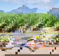 Taste Tweed - Darwin Holiday