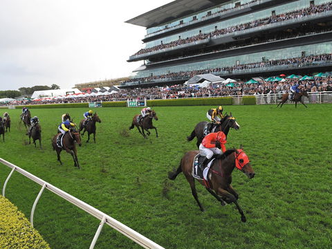 The TAB Everest: The World’s Richest Race On Turf - Darwin Holiday 0