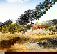 The Beverley Heroic - Darwin Holiday