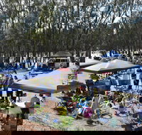 The Great Murray River Salami Festival - Darwin Holiday