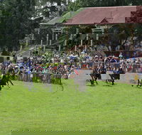 Tumut Derby Day